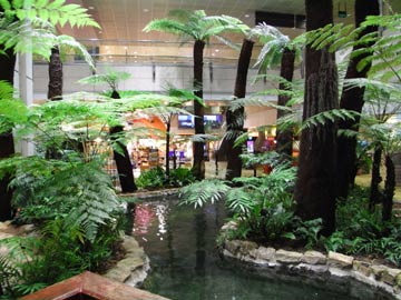 Singapore Airport